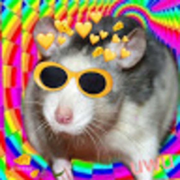 Meet your Posher, Fatto.ratto69 - Picture 1 of 1